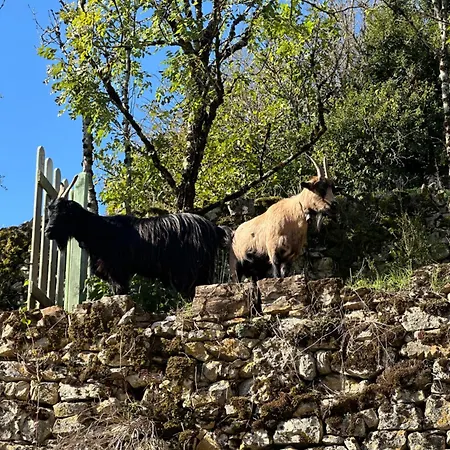 Appartement De Coussane *