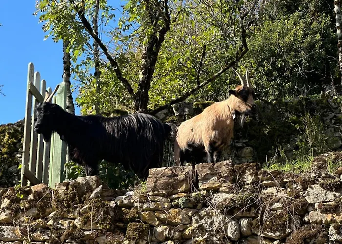 Apartamento De Coussane *